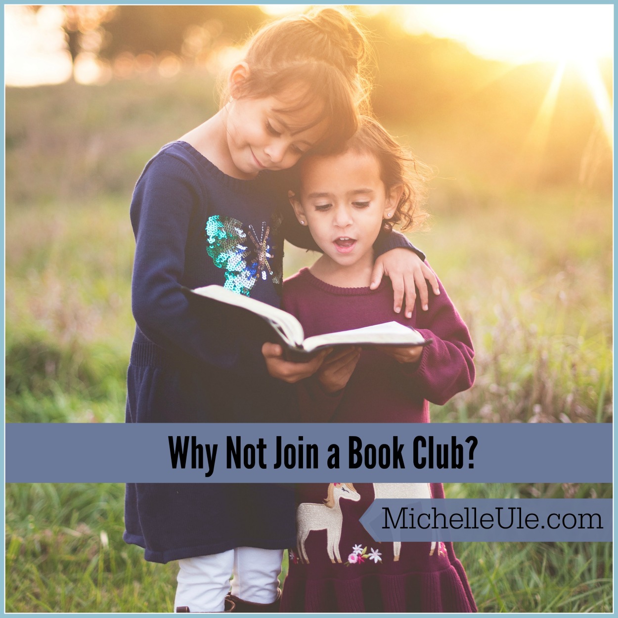 Why Not Join a Book Club? | Michelle Ule, Author